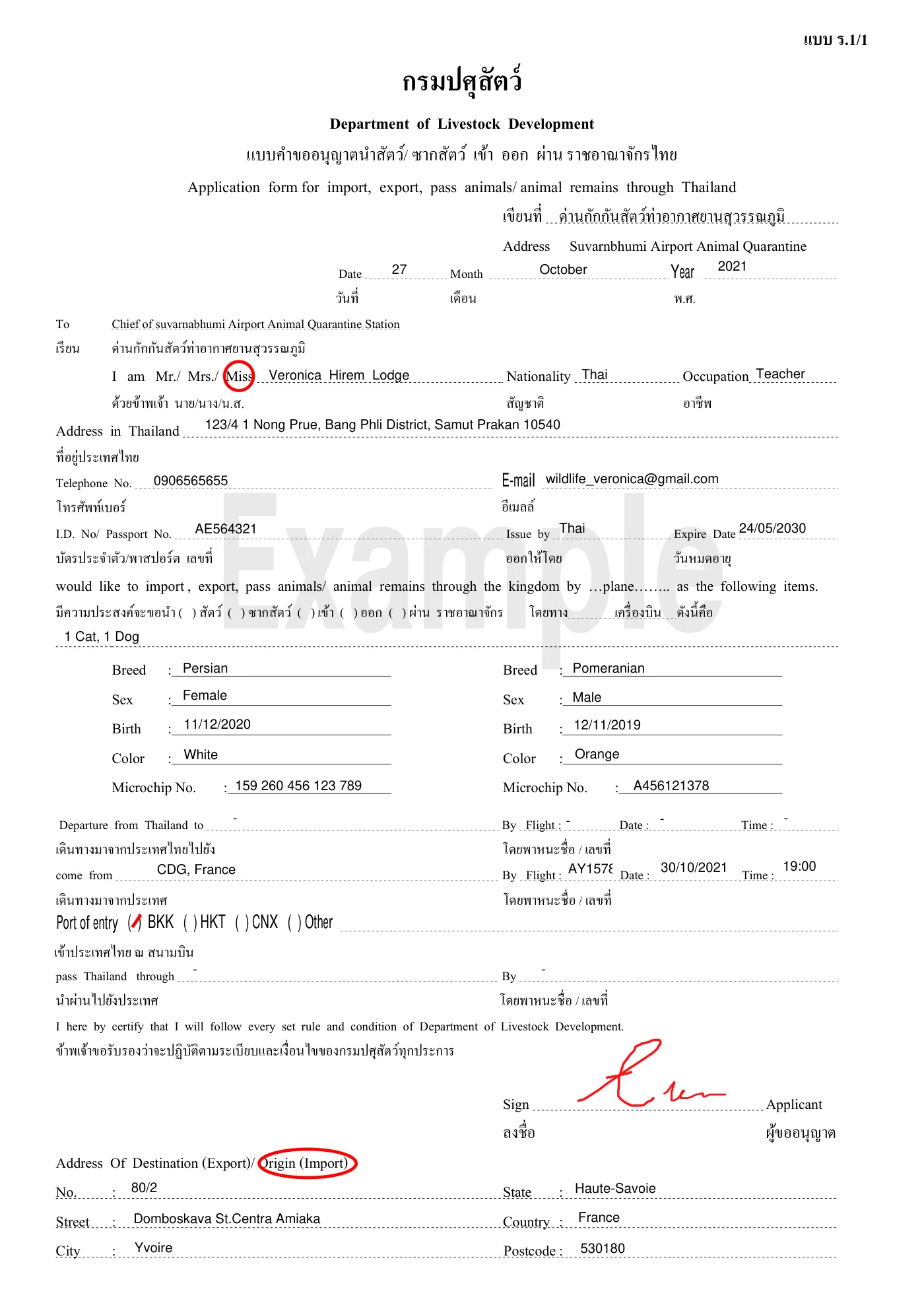 Formulaire R.1/1 rempli : identité du voyageur, adresse en Thaïlande, numéro de passeport, race, sexe, date de naissance, robe et numéro de micropuce d'un chat et d'un chien, vol d'arrivée et aéroport d'entrée